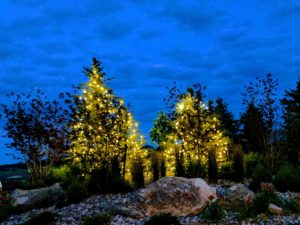 Lit trees Spruce Mountain Ranch Wedding