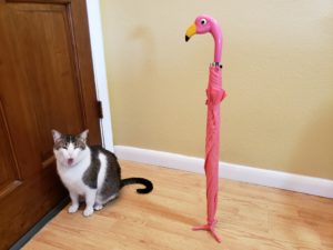 Pink flamingo parasol and pussy cat
